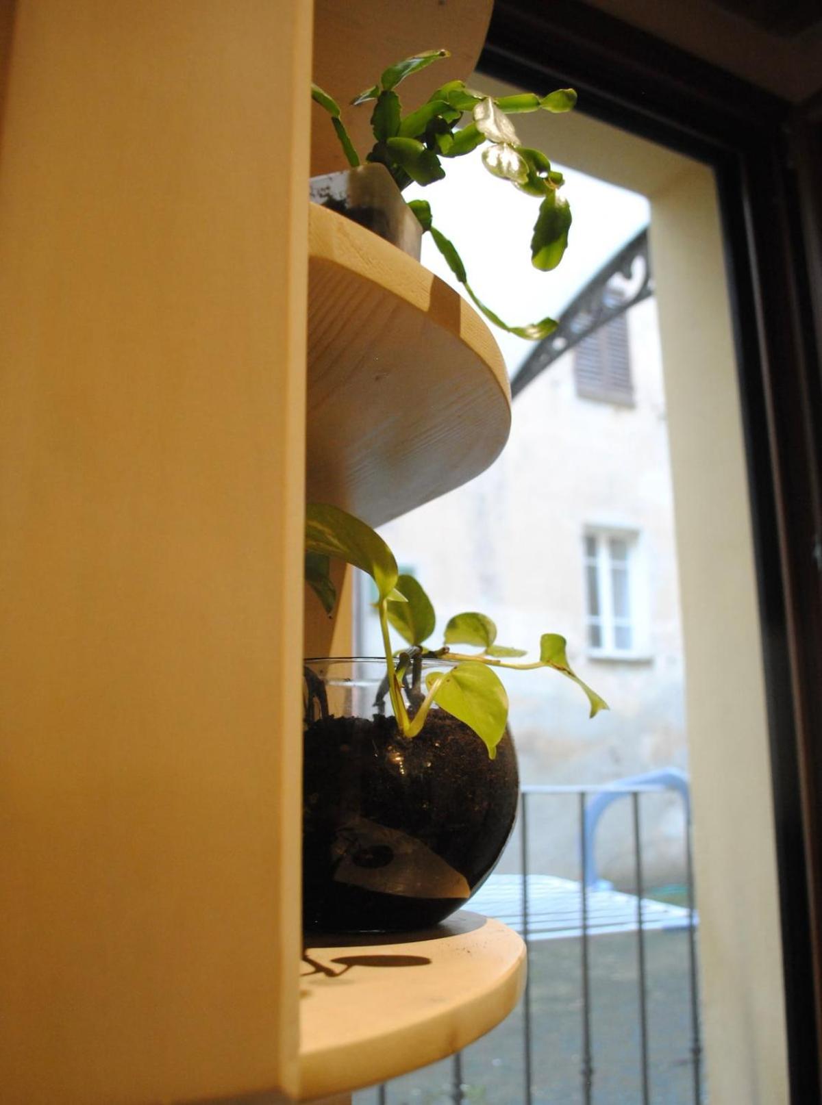 Apartamento Casa Delia Pitigliano Exterior foto